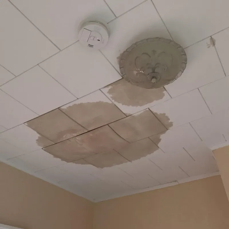 Ceiling Water Damage Repair in Fayetteville, PA