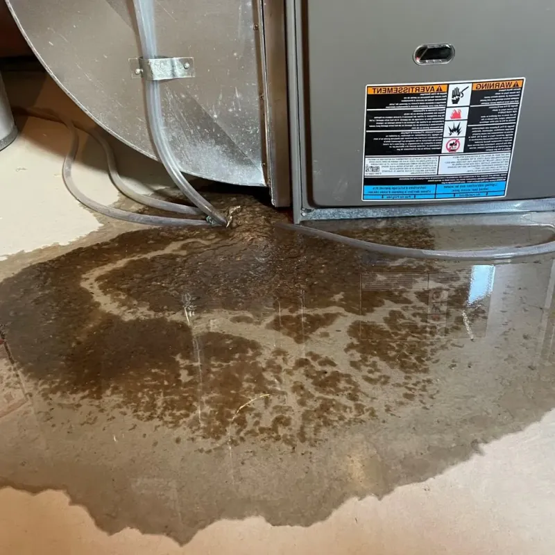 Pipe Burst and Leak Restoration in Fayetteville, PA