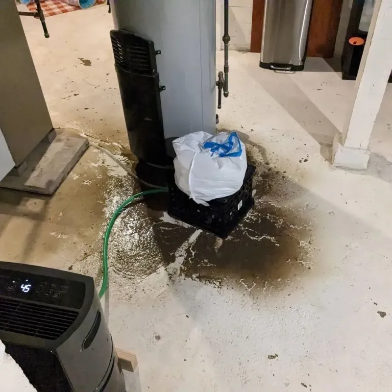 Sewage Backup Cleanup Service in Fayetteville, PA